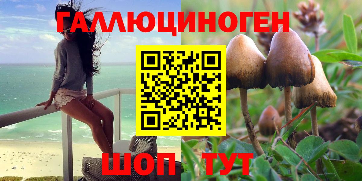 Куйбышев  Псилоцибиновые грибы ЛСД  Вход с VPN  Псилоцибиновые грибы мицелий 