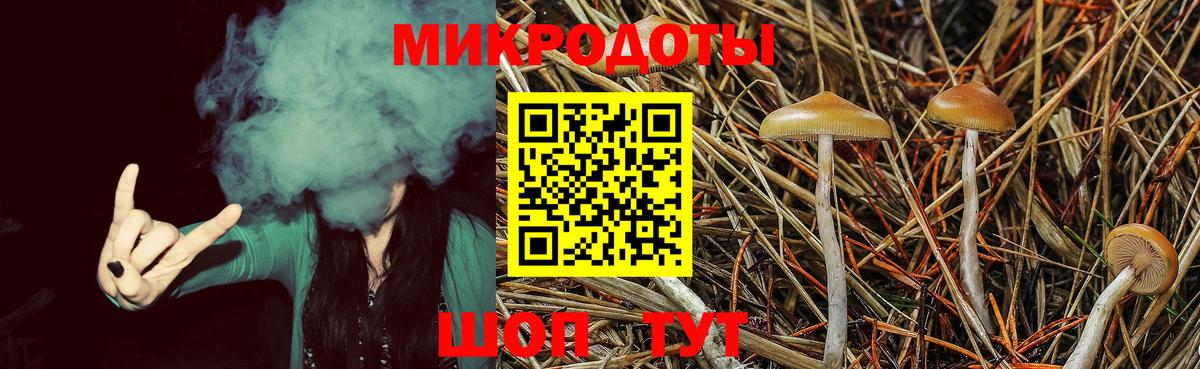 Галлюциногенные грибы Psilocybe Куйбышев